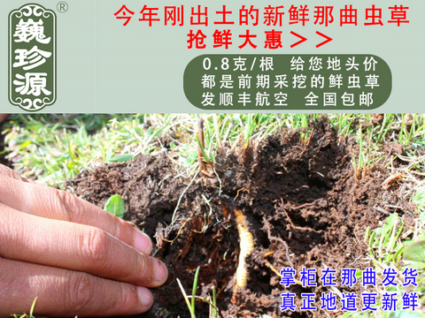 ���r�x�ݣ����r���x�Ĳ������r�x���^�ݣ�Ρ��Դ0.8��/�����r�����x���^���������ڳ�����Ұ���������r�x��