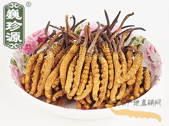 那曲冬蟲夏草4條/克 中期草 精選貨