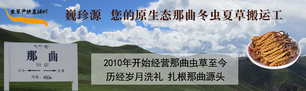 ���x(ch��ng)�Ĳ�,��B���������x(ch��ng)�������r�x(ch��ng)�ݺ��������r���x(ch��ng)�Ĳ�,���l(f��)�����x(ch��ng)�Ĳ݃r(ji��)��